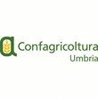 Logo di CONFAGRICOLTURA UMBRIA SERVIZI