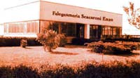 Logo di FALEGNAMERIA ENZO SCACARONI