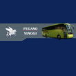 Logo di PEGASO VIAGGI