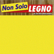 Logo di NON SOLO LEGNO