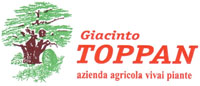 Logo di VIVAI TOPPAN