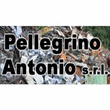 Logo di PELLEGRINO ANTONIO