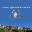 Logo di AZIENDA AGRICOLA CA' SAN CARLO
