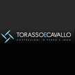 Logo di FABBRI TORASSO E CAVALLO