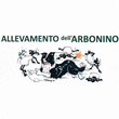 Logo di ALLEVAMENTO DELL'ARBONINO