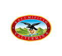 Logo di SALUMIFICIO VALTERMINA