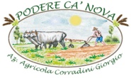Logo di AZIENDA AGRICOLA CORRADINI GIORGIO