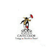 Logo di CAITICOLOR