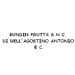 Logo di BUNDIN FRUTTA