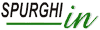 Logo di SPURGHI IN