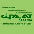 Logo di C.I.P.A.-A.T. CENTRO ISTRUZIONE PROFESSIONALE AGRICOLA E ASSISTENZA TECNICA