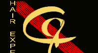 Logo di HAIR EXPERTS