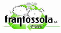 Logo di FRANTOSSOLA