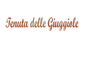 Logo di TENUTA DELLE GIUGGIOLE
