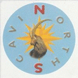 Logo di NORTHSCAVI