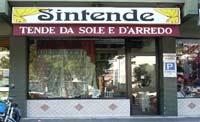 Logo di SINTENDE