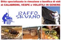 Logo di LO SPAZZACAMINO