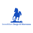 Logo di IMMOBILIARE BORGO DI MAREMMA