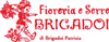 Logo di FIORERIA BRIGADOI