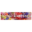 Logo di VIVAIO BOCCACCI