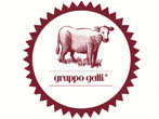 Logo di NUOVA GELCAR