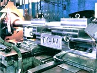 Logo di T.G.M.