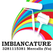 Logo di IMBIANCATURE VARESE