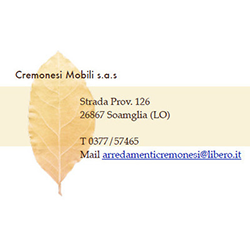 Logo di CREMONESI MOBILI