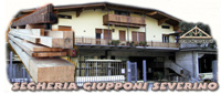 Logo di GIUPPONI SEVERINO srl