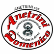 Logo di ANETRINI SAS
