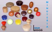 Logo di COLOR WOOD