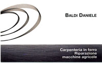 Logo di BALDI DANIELE CARPENTERIA