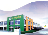 Logo di IL MAGGIOLINO srl