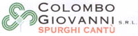 Logo di COLOMBO GIOVANNI srl
