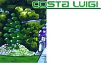 Logo di COSTA LUIGI