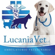 Logo di LUCANIA VET