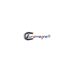 Logo di EUROMAGNETI
