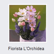 Logo di FIORISTA L'ORCHIDEA