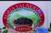 Logo di AGRIA VALNERINA