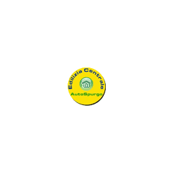 Logo di AUTOSPURGO H24