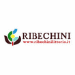 Logo di RIBECHINI LITTORIO E C.
