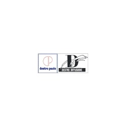 Logo di DESTRO DIFFUSIONE