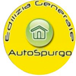 Logo di AUTOSPURGO H24