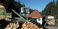 Logo di HOLZ PICHLER spa