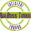 Logo di BIGBOSS TIMBRI