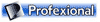 PROFEXIONAL srl