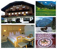 Logo di ALBERGO GASTHOF TUSCHERHOF RISTORANTE