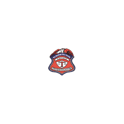 Logo di EURODETECTIVE STUDIO TECNICO - INVESTIGATIVO