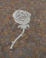 Logo di S.A.P.