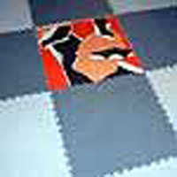Logo di FRANK sas
